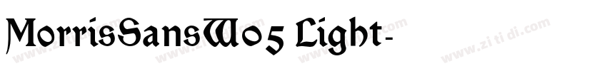 MorrisSansW05 Light字体转换